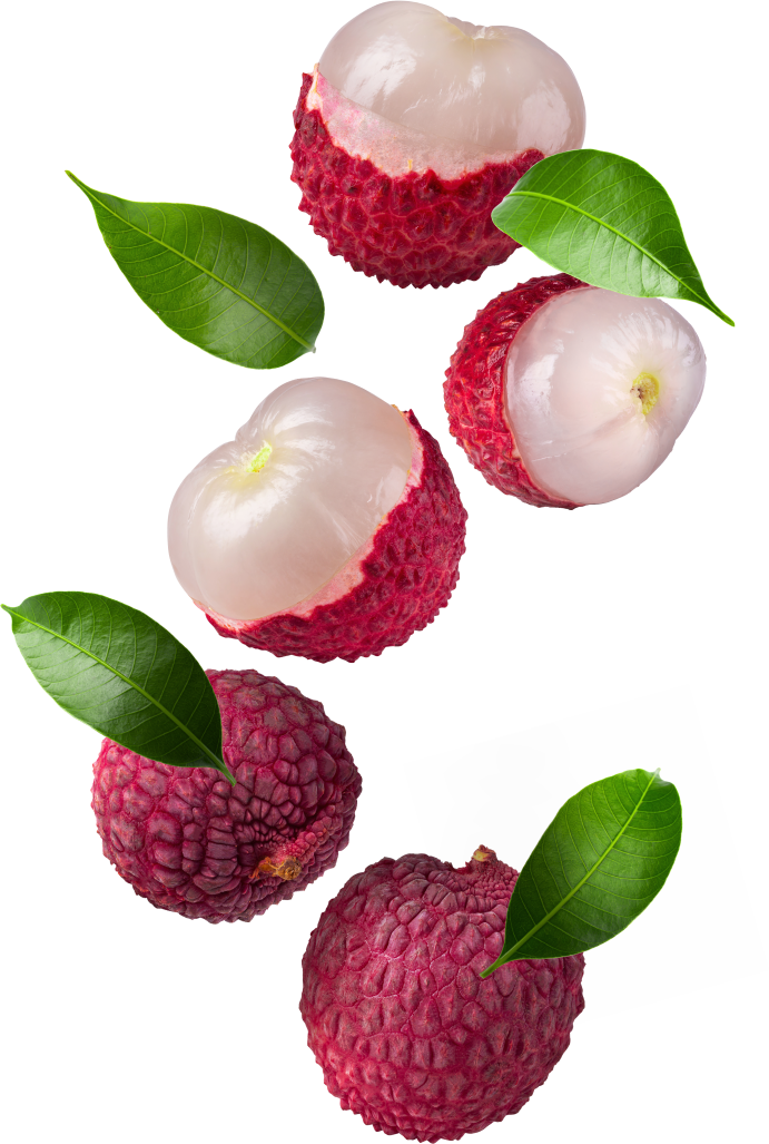 a3